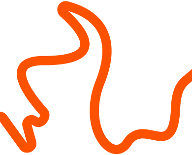 ALP-tracker-polyline-small@1x.0fb8abff